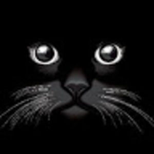 Meet your Posher, Mary-lou